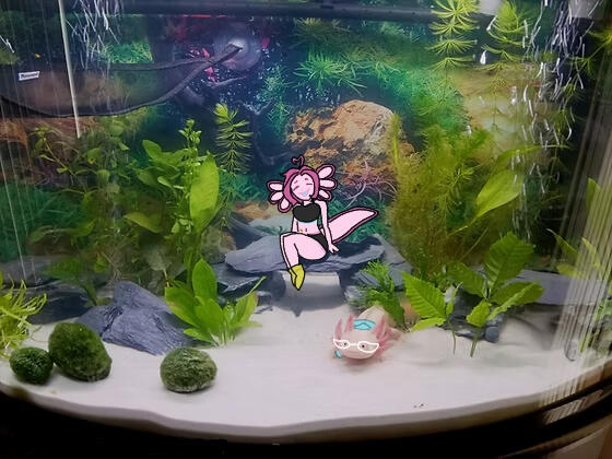 Axo: Art by Xoey!